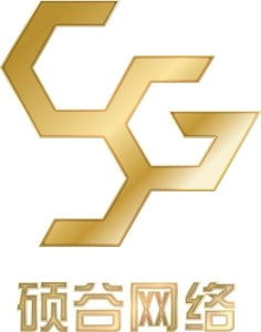 中山市硕谷网络科技 驱动企业数字化转型的技术先锋